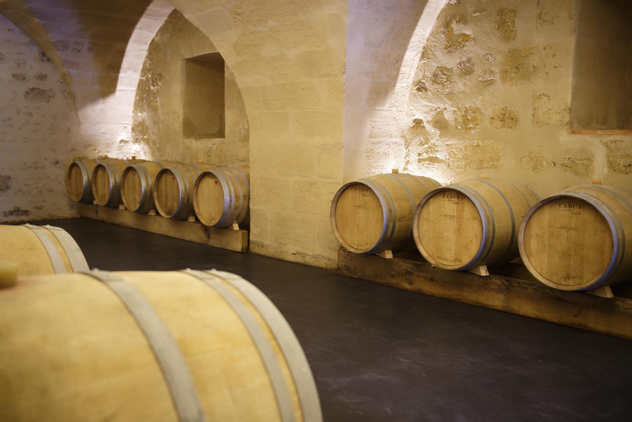 Chambres D'Hotes De Chateau Renon Tabanac Buitenkant foto